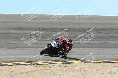 media/Mar-17-2024-CVMA (Sun) [[2dda336935]]/Race 7 Formula Lightweight Twins Shootout/